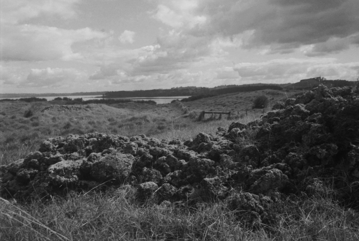 NatashaBarret18's tweet photo. Lay of the land 🪨
#blackandwhitephotography #filmisnotdead #filmisalive #xp2super #ilford #walledgardens #stones #horticulture #rocks #Auckland #southauckland #f100 #Ōtuataua #Stonefields #mangere https://t.co/ozTAB7S0Fq