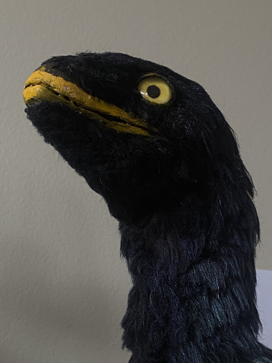 _Archesuchus_'s tweet image. 🧵2/3
Additionally, in order to enter, either post your design in this comment section, or attach #WeirdBirdsContest to your art post! Feel free to attach as much info as you want about ur critter. You may only submit one entry per time period. No AI is allowed, no theft either‼️