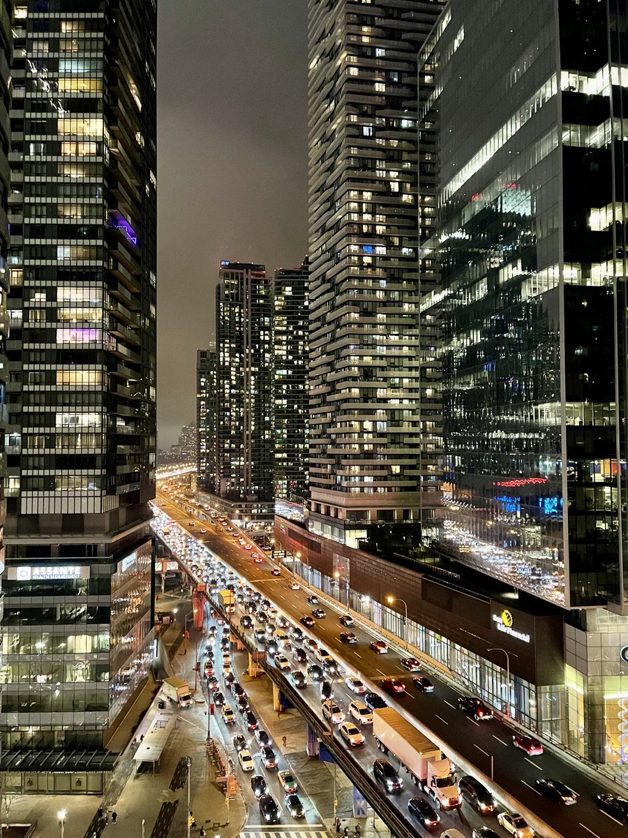 Lobo Tiggre tweet media