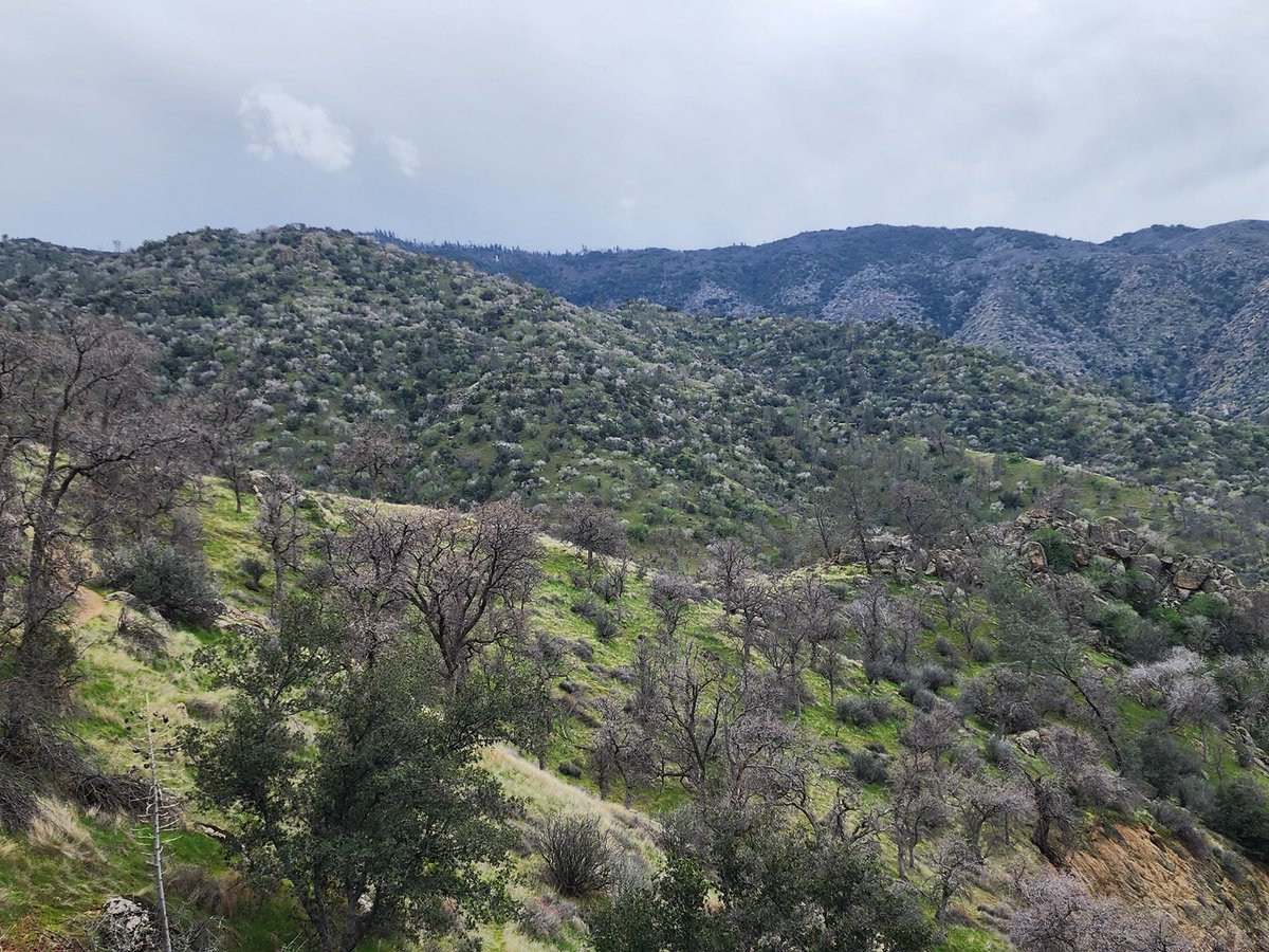Beautiful Southern Sierras!