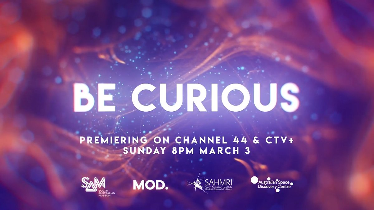Definitely didn't have host a TV program on my 2024 bingo card but here we are. c44.au/2024/02/13/sci…
Tonight at 8pm on Channel 44 the new 'Be Curious' featuring <a href="/MOD_museum/">MOD.</a>. 
Watch live or download the <a href="/ctvplus/">ctvplus</a> app and watch anytime ctvplus.org.au