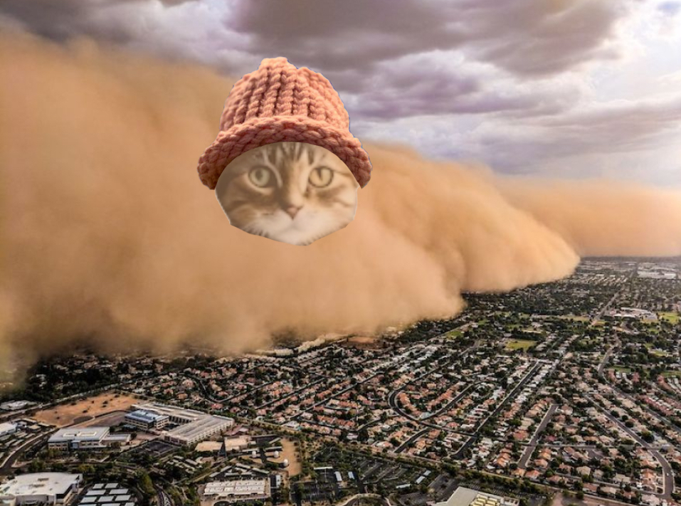 $CWIF gang gang gang. The storm is coming, and we need to RT, reply, and follow each other to build shelter. Go now and build #catwifhat wif us 👇👇👇