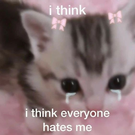 PunchingCat's tweet photo. https://t.co/0HqFvv8K7a