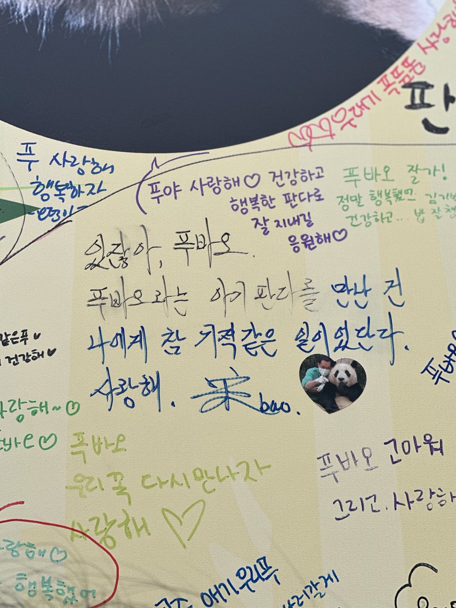 송바오님 메시지