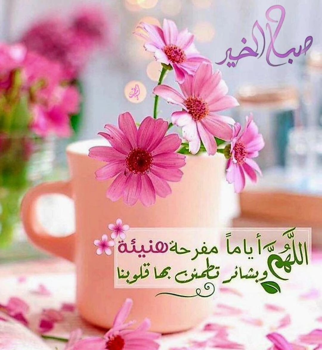 ما أروع أن نقول صباح الخير لأشخاص نحبهم ونحترمهم ونعزهم فهي تعني الكثير  ،وتحمل المحبة والأحاسيس الجميلة والمعاني الرائعة  ،ف صباح الخير والسعادة والأمل للجميع ،  إلى كل من لهم مكانة في قلبي ، اللهم اجعلنا وإياهم ومن نحب من السعداء المتقين .

      🌹 صباح الخير والسعادة 🌹