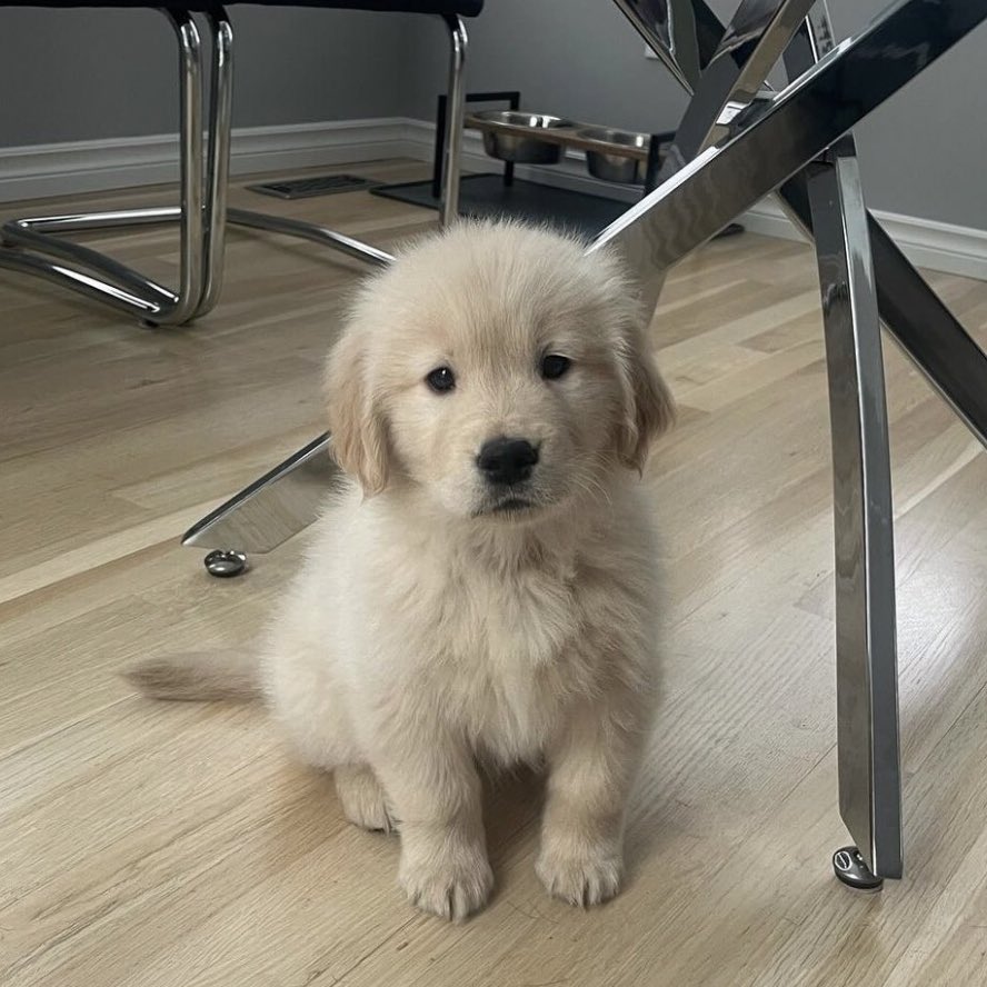 แต่งตุวสวยไปไหนอีกแร้ว พาเค้าไปดวยนะ 🥺 (หึง)