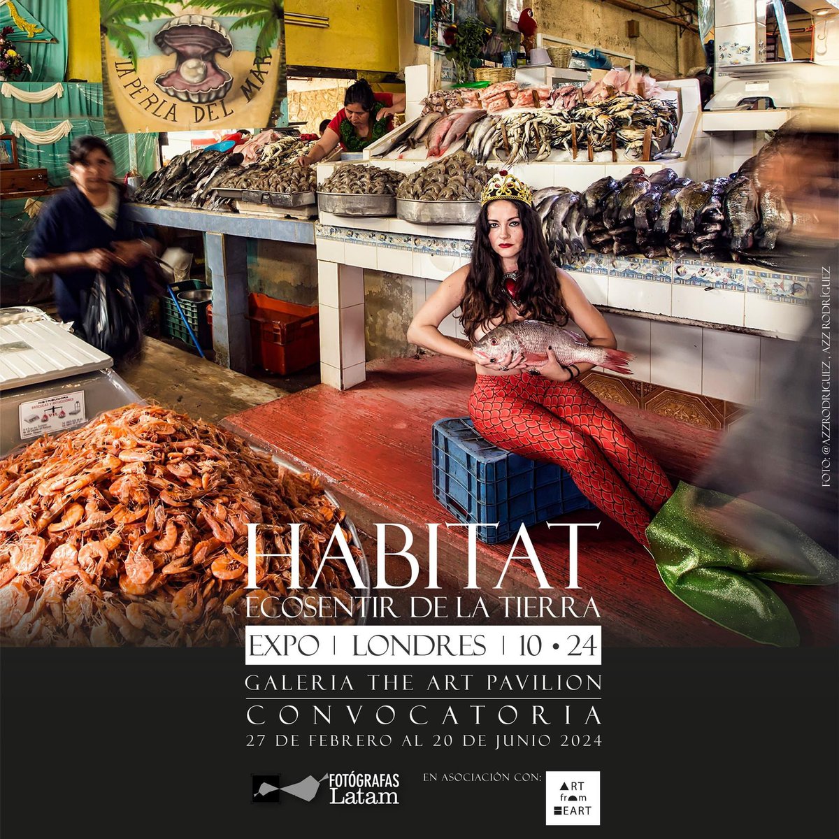 📢OPEN OPEN OPEN ¡Convocatoria abierta para Fotógrafas Latinoamericanas - Londres 2024!
Tema: HABITAT, Ecosentir de la Tierra.
Ubicación: Londres, Galeria The Art Pavilion.
Colaboración: Fotógrafas Latam con ART From HEART.
 👉🏻 Descarga las bases fotografaslatam.com