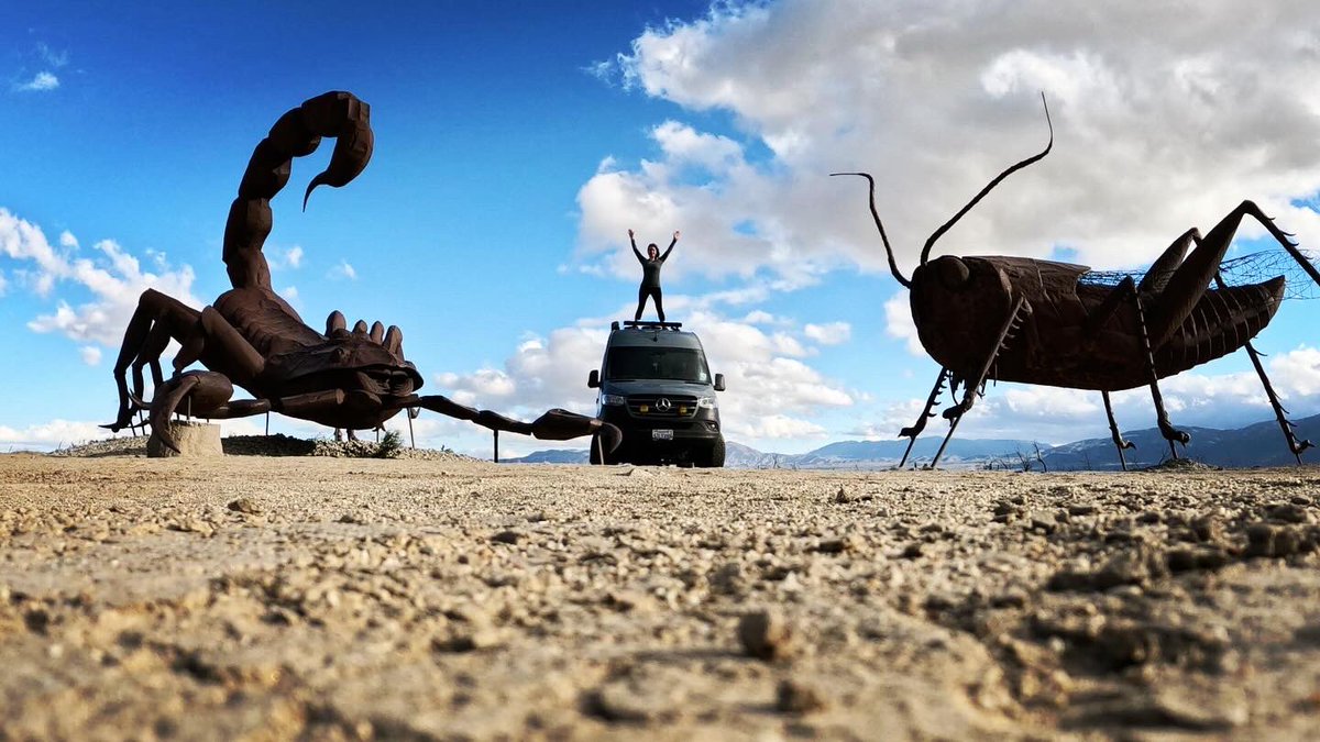 Liberty53000_'s tweet photo. Steely, a scorpion, and a grasshopper walk into a desert 🌵 ….#giantbugs 🦂🦗🚐 #steelyvan #anzaborrego @AnzaBorregoPark https://t.co/vbnu7eeD9Q