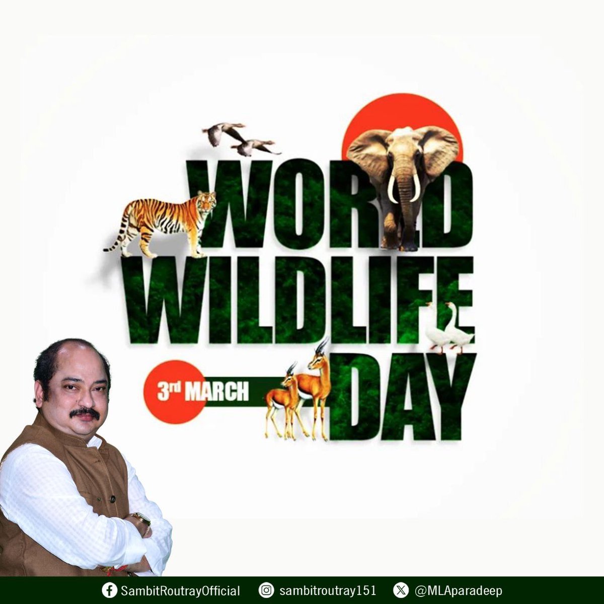 World Wildlife Day reminds us of the intricate web of life that sustains ecosystems worldwide, highlighting how each species, big or small, plays a crucial role in maintaining biodiversity. #WorldWildlifeday #TogetherForNature #HealTheWorld #NaturePreservation