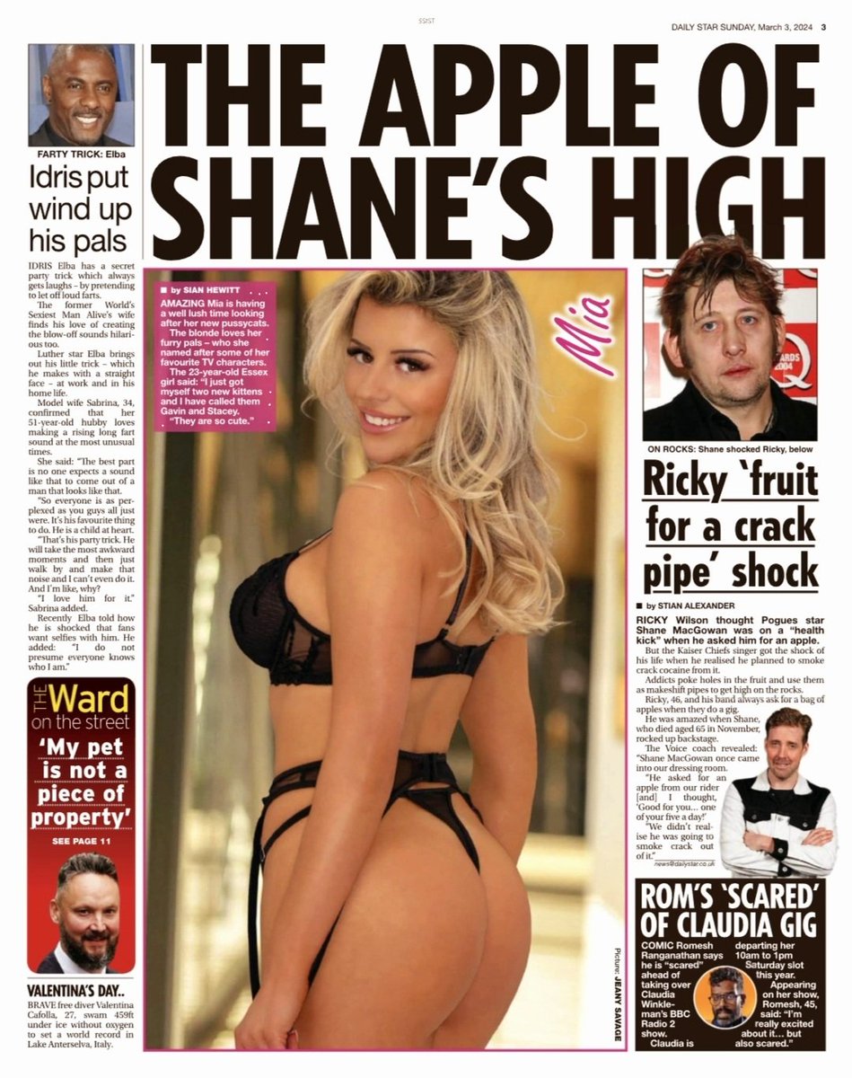_dailypage3's tweet photo. Page 3 - Sunday 3rd March 2024

@Mia_Zambra 
#StormiBree

#page3 #dailystar #thesun #newspaper https://t.co/3ItCsqlWAE