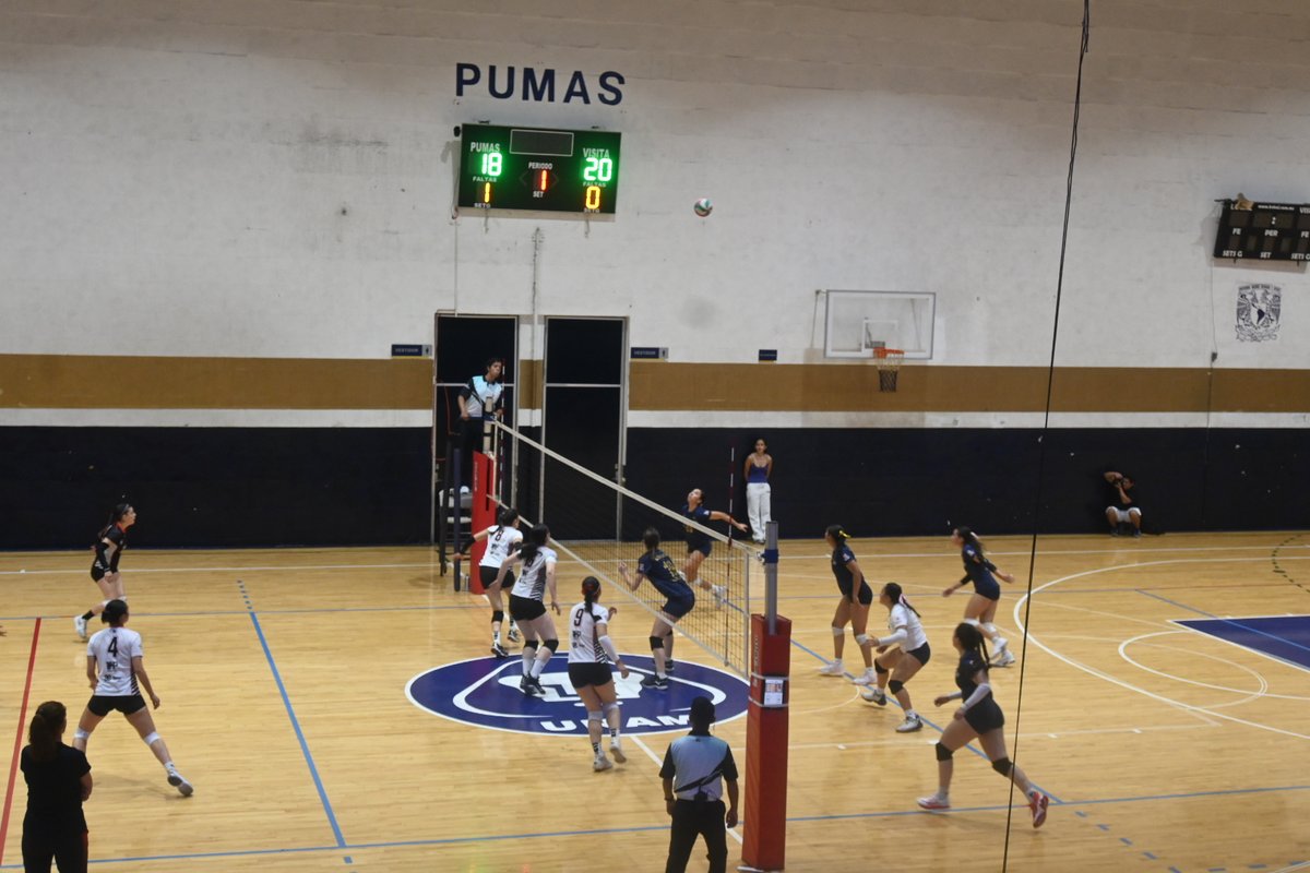UNAM_MX's tweet image. ¡#UnGOYApara el equipo femenil de voleibol UNAM🏐! La escuadra auriazul 💙💛 se anotó una victoria al enfrentarse a la Universidad Panamericana campus Guadalajara, dentro del Campeonato Nacional de Voleibol #CONADEIP.