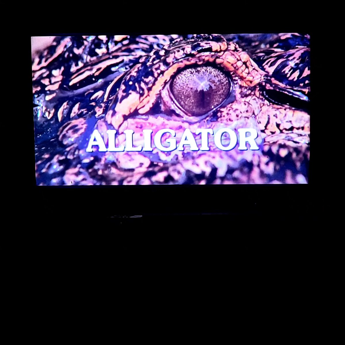 AegriSomniaVana's tweet photo. Joe Bob says, "Check it out!" #Alligator #TheLastDriveIn #Shudder #JoeBobBriggs #DarcyTheMailGirl #MutantFam #DriveInMutants https://t.co/FW0DRDZcSM