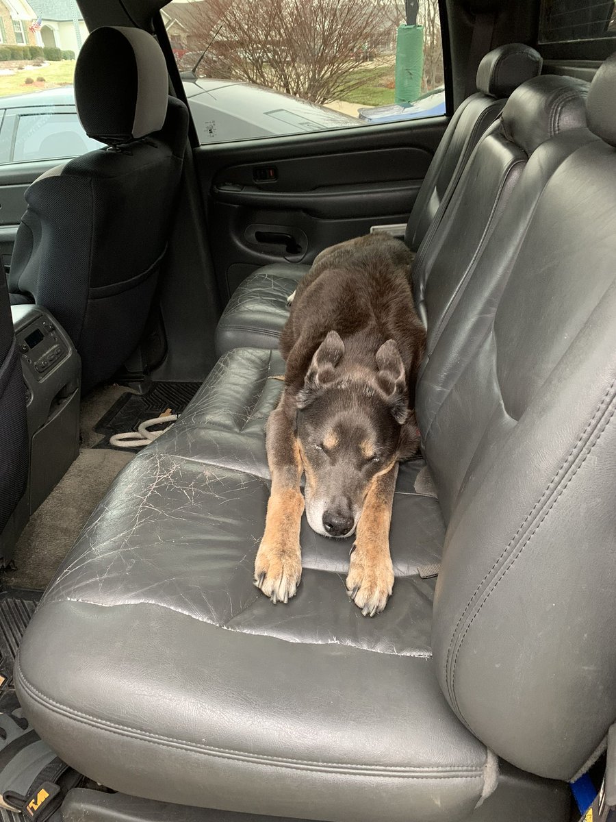 shotbysevan's tweet photo. To be loved is to be changed. 

Was truly a man’s best friend. Thank you for 15 great years, Gave it your all to your very end. We love you Pluto ♥️ 🐾 https://t.co/NElAuzieKu
