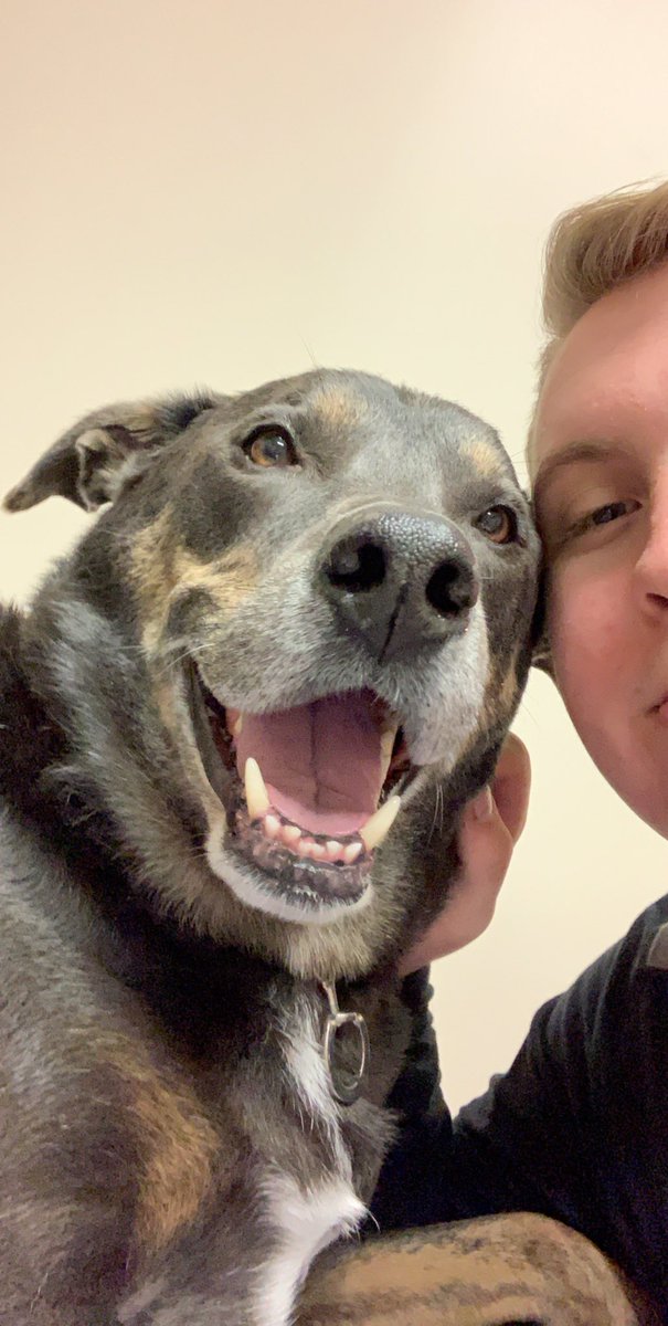 shotbysevan's tweet photo. To be loved is to be changed. 

Was truly a man’s best friend. Thank you for 15 great years, Gave it your all to your very end. We love you Pluto ♥️ 🐾 https://t.co/NElAuzieKu