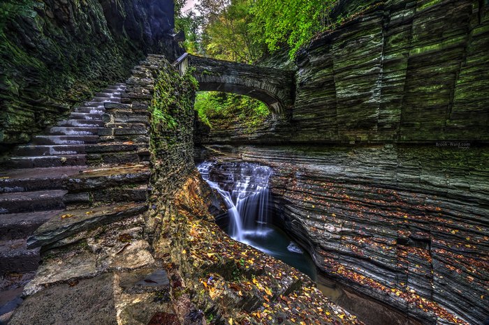 Discover the Finger Lakes tweet media