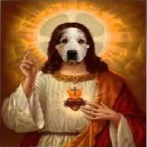 GoodOldDogSol's tweet photo. @Vikcyter_2 its true https://t.co/bWRlWLVM8N