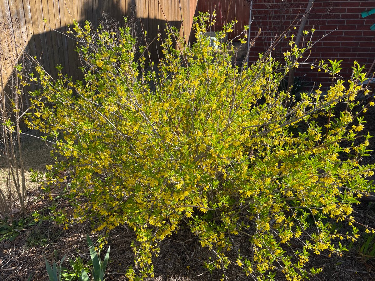 Kathy Seybert tweet media