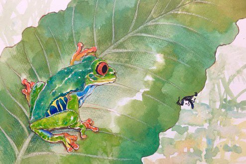 「frog painting (medium)」 illustration images(Latest)