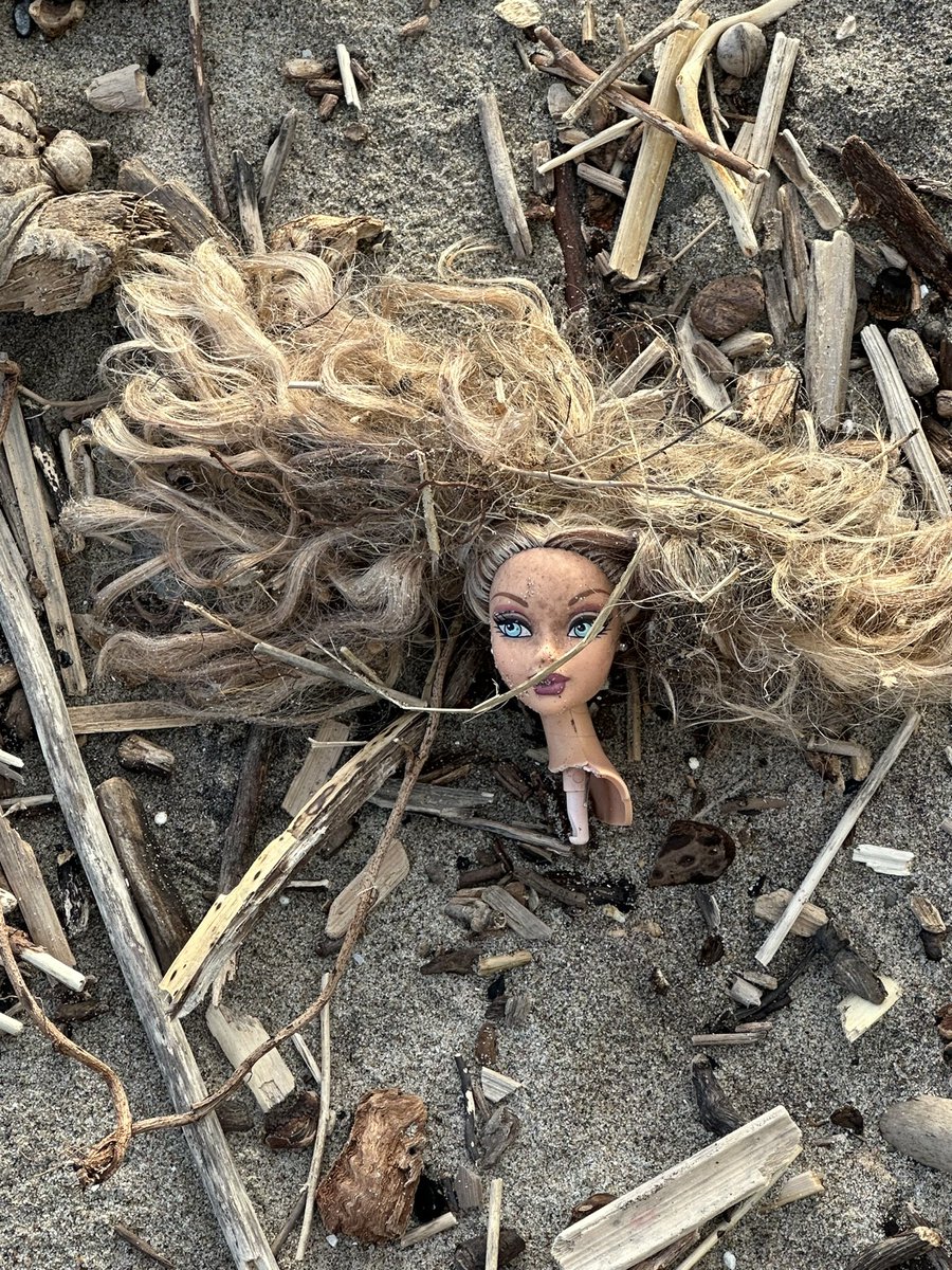 And what’s this washed up on the beach? Was she hoping to float across  the ocean to become queen of the Pacific Gyre? Maybe so. But here’s the sad fact—queens do tend to get decapitated.