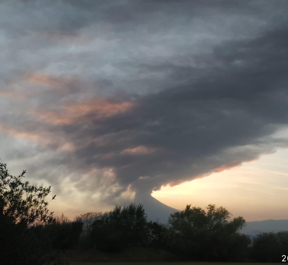 Ángeles Mastretta tweet media