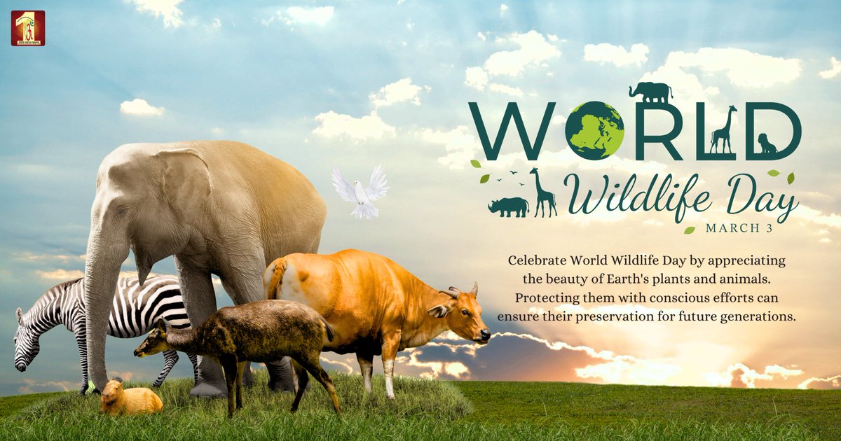 DSSNewsUpdates's tweet photo. As we mark #WorldWildlifeDay, let's reflect on the profound connection of all living beings. From the depths of the oceans to the vast savannah, every specie, big or small, contributes to the intricate web of life on Earth. Let's pledge to be stewards of our planet, working tirelessly to safeguard these precious treasures for generations to come.

#WWD2024 #ConnectingPeopleAndPlanet
#DigitalInnovation