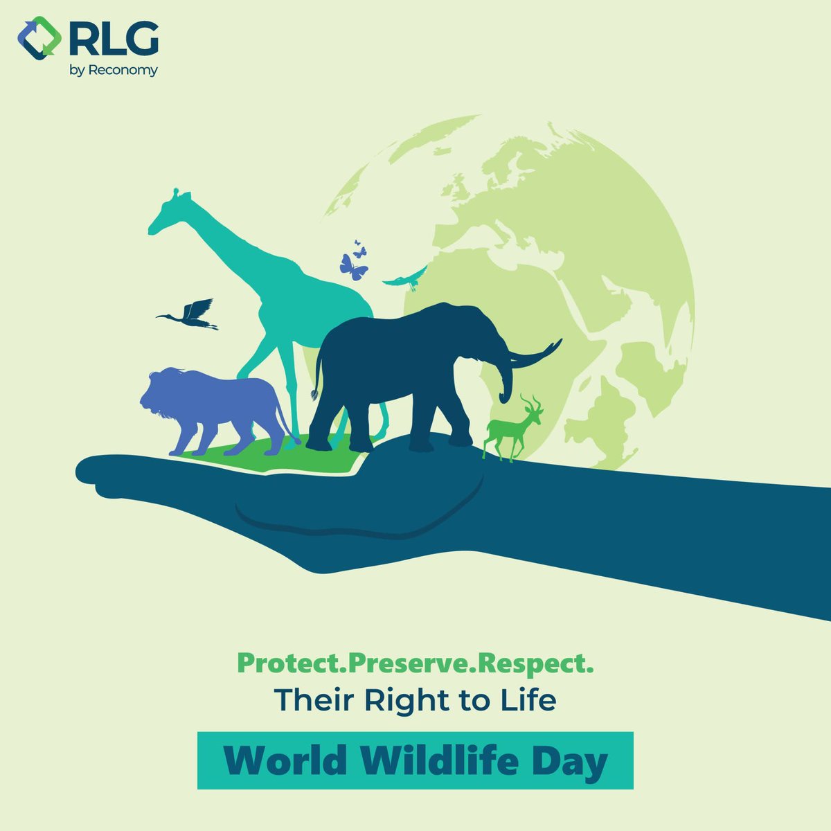 Together, let's work towards a future where wildlife thrives in harmony with our planet.
#WorldWildlifeDay_2024

#WildLife #AnimalRights #ProtectNature #SaveWildLife #ProtectBiodiversity #RespectWildlife