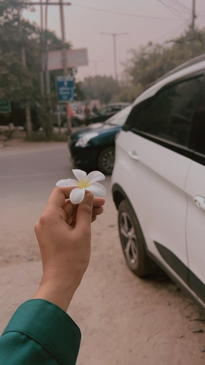 Neeshu2626's tweet photo. देर लगेगी ….. मगर सब सही होगा 
जो तुम्हें चाहिए होगा …. वही होगा 
दिन बुरे है …. ज़िंदगी नहीं 
सबर रख …. आहिस्ता आहिस्त सब होगा 🌸💕🧿 #merevichar #nishh26 https://t.co/31UcVpXvOJ