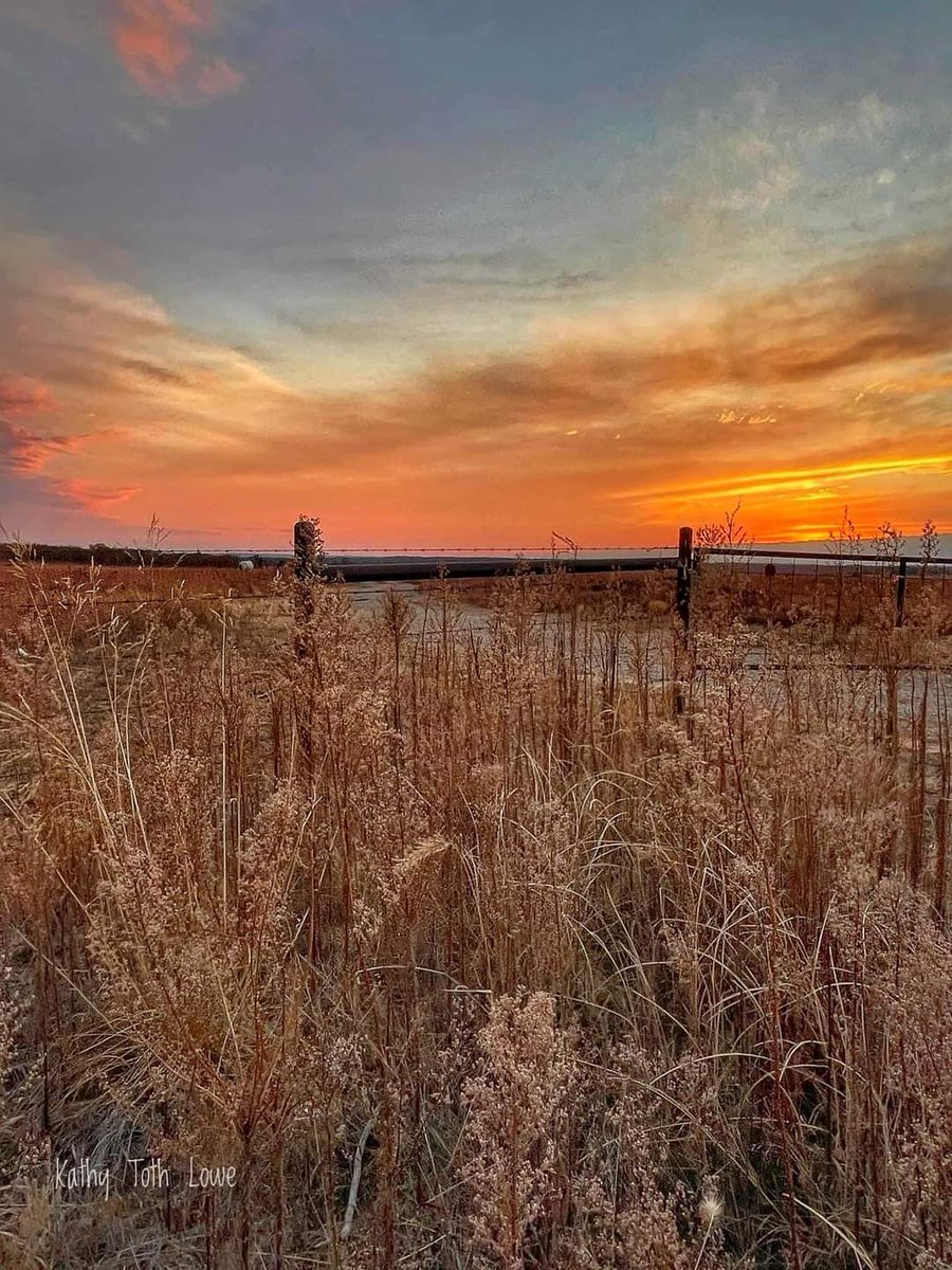 Oklahoma...
Where the wind comes sweepin’ down the plain 🌾🌞💜
#Oklahoma #nature #sunsets #oklahomasunsets #beautifulplanet