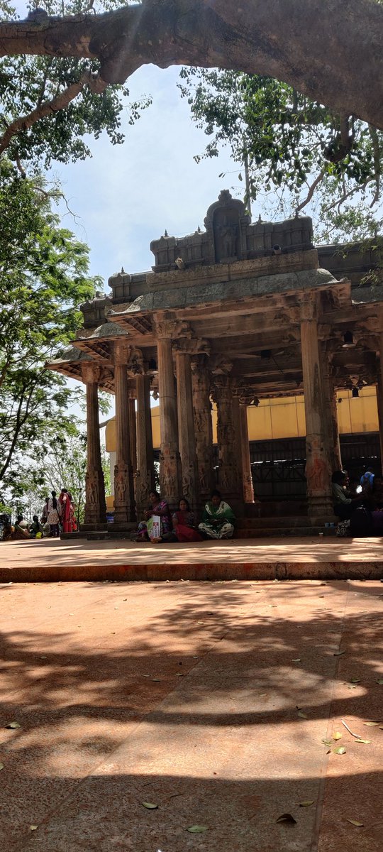 VNamadhari's tweet photo. Blessed @TTDevasthanams 🙏 https://t.co/sVOk73ySYr