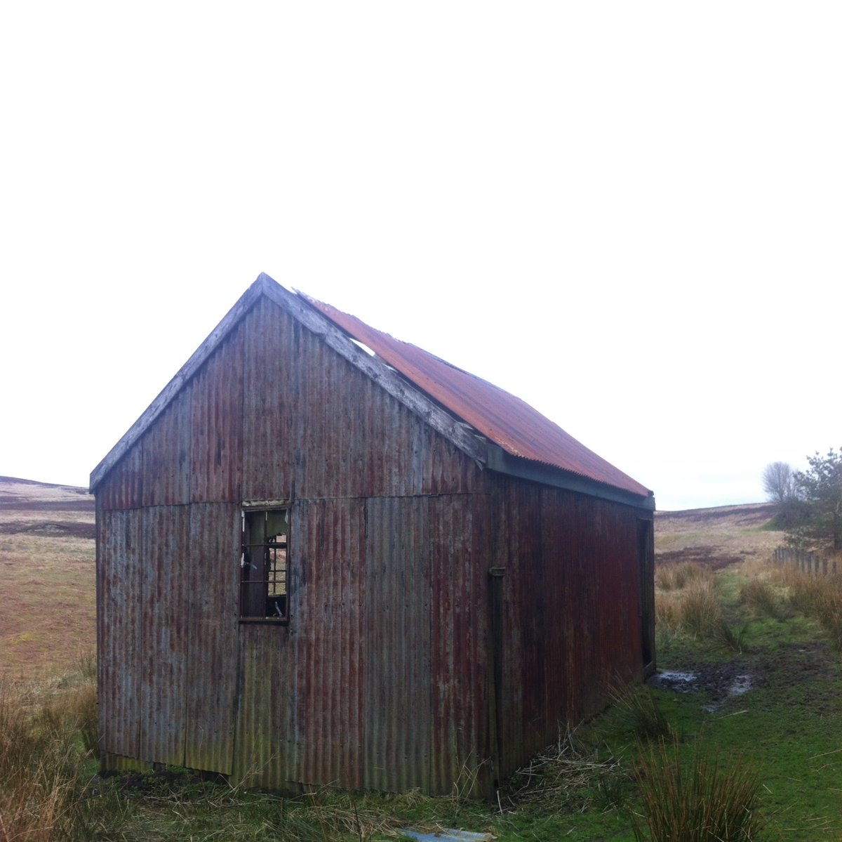 DgnBx's tweet photo. Great fun with Procreate and Procreate Dreams. Imagining an artist’s retreat from a derelict shepherd’s hut near Otterburn, Northumbria. 

https://t.co/F0haQnWEPv

#procreate #procreateart #procreatearchitecture https://t.co/jNJcHGgVYT