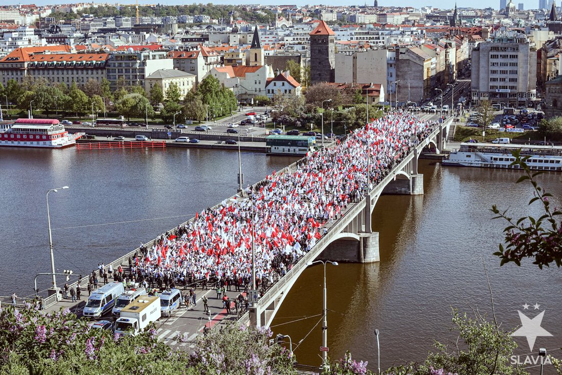SK Slavia Praha tweet media