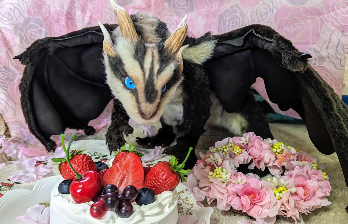 #ケモノ龍に関する調査報告書
🐉:らいらっくー様（<a href="/sweet_mokaketu/">らいらっくー</a>）
一緒の季節を過ごせる幸せよ🌸
まだ誕生日は早いけど一緒に美味しいものでも食べようね、と奮発してちょっと良い🍰を購入

ゆっくり一緒に年をとれたら幸せなだなぁ、と思う今日此の頃😊