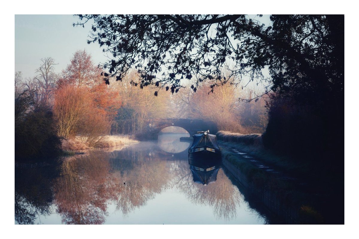 Good Morning and a happy Sunday - few images from today’s early walk #grandunioncanal #treeclub