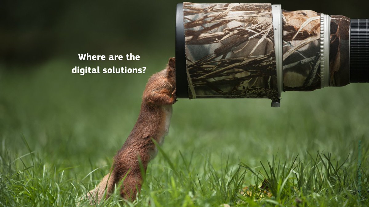 Happy World Wildlife Day! 🐿️

This year's theme is Connecting People &amp; Planet: Exploring Digital Innovation in Wildlife Conservation

#DYK we support various innovation projects from cutting edge tech to monitor biodiversity to the EU bird portal 🇪🇺?
#EUBiodiversity #WWD2024