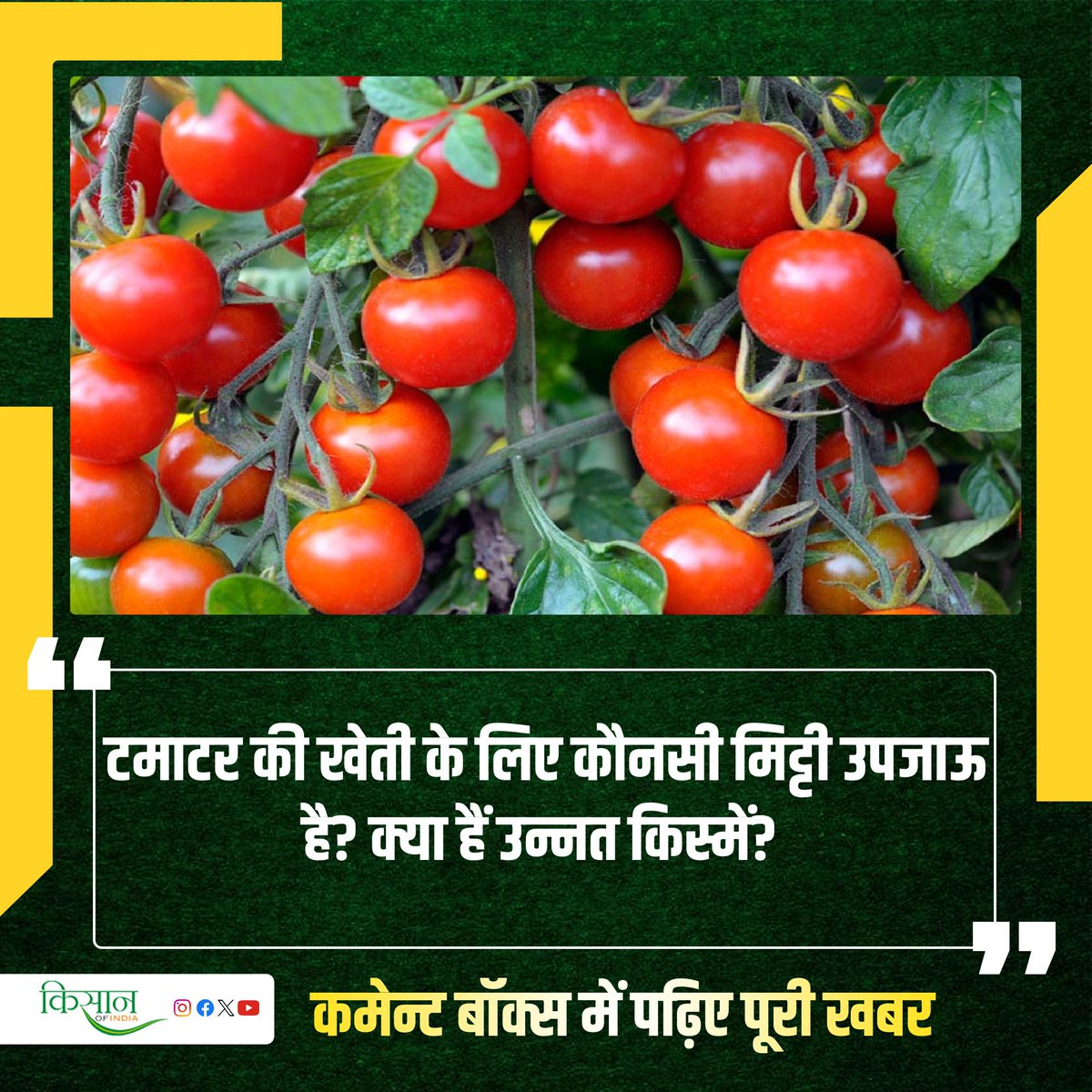 नेटहाउस तकनीक के माध्यम से करें कम लागत से टमाटर की खेती 

#KisanOfIndia #Agriculture #Viral #Story #TomatoFarming