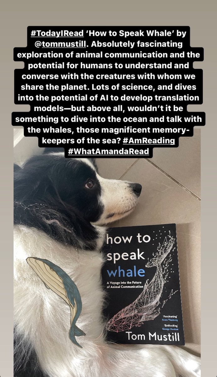 Amanda McLeod Writes tweet media