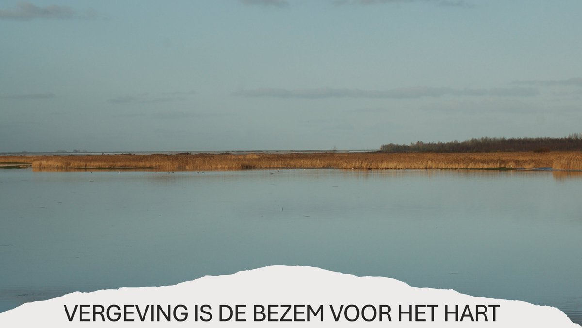 XtraVisie tweet media