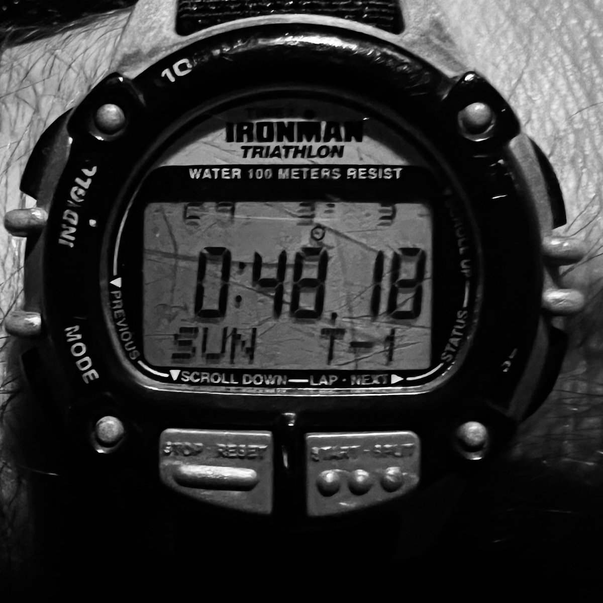 jockowillink's tweet photo. Late night travel. 
Hold down the fort. https://t.co/wTu6pKisHw