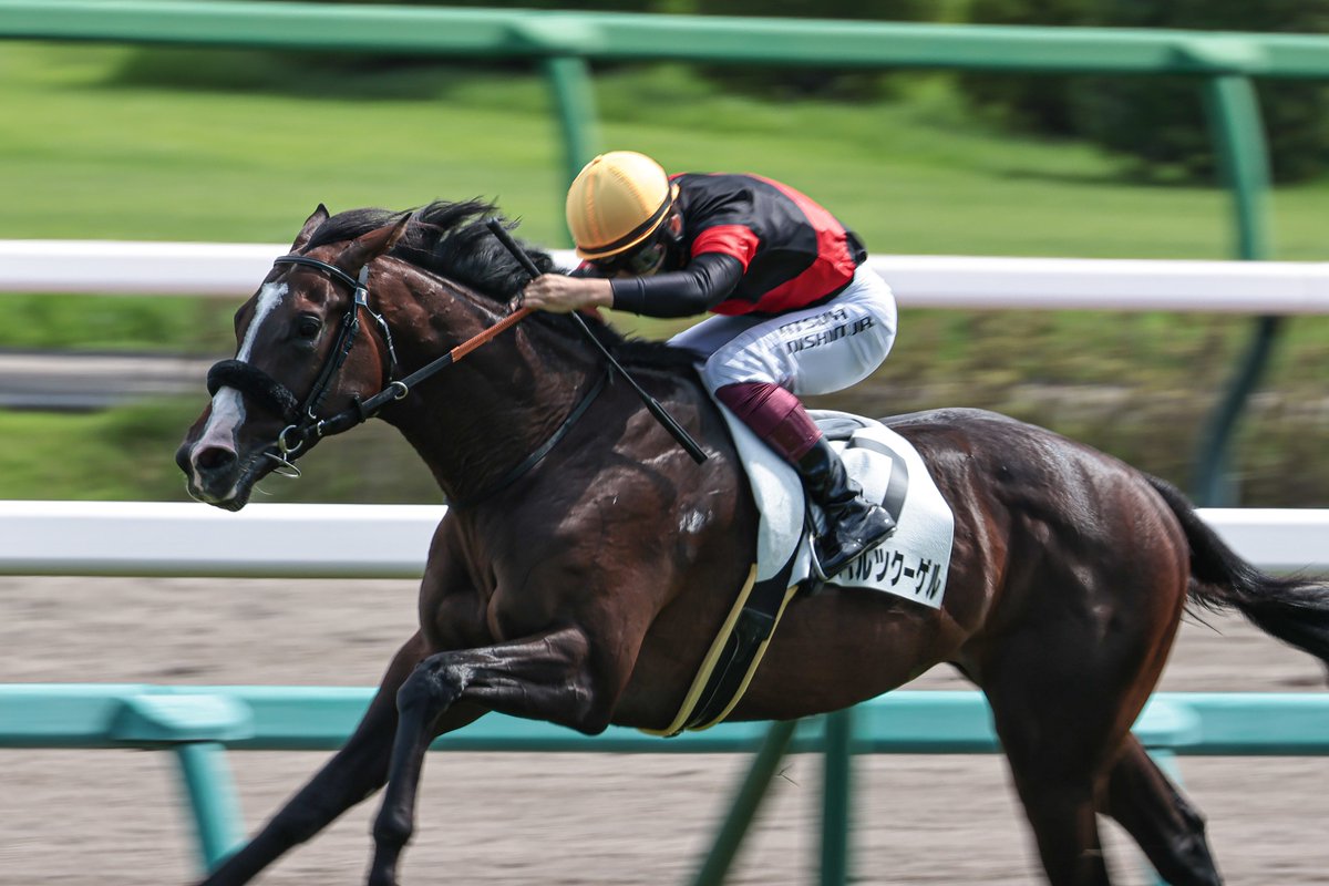 シュバルツクーゲル
西村淳也騎手
(新馬戦)