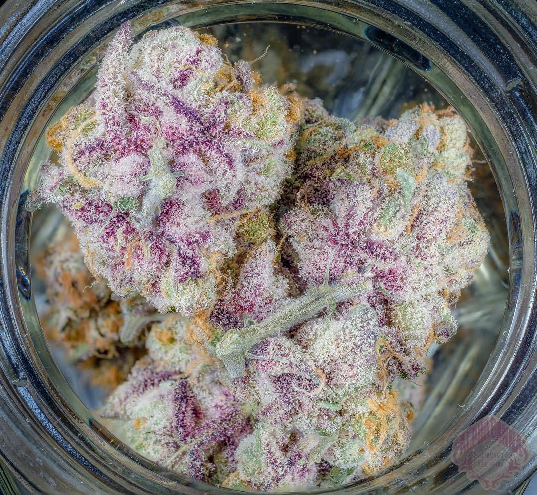 _StonersRUs_'s tweet photo. Pink Sugar Cookies 🍬����🍬

#StonerFam #Mmemberville https://t.co/HtSQ2ucfYb
