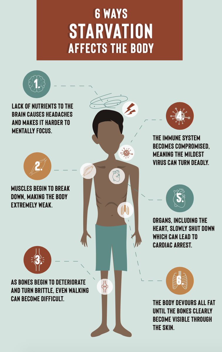 HOW STARVATION/FAMINE AFFECTS THE BODY — Thread [🧵]

(I am making this thread so more people understand what FORCED starvation and famines are and how it is a killing machine. Famines/Starvation are happening everywhere in the world.)

PLEASE READ THE WHOLE THREAD 🙌