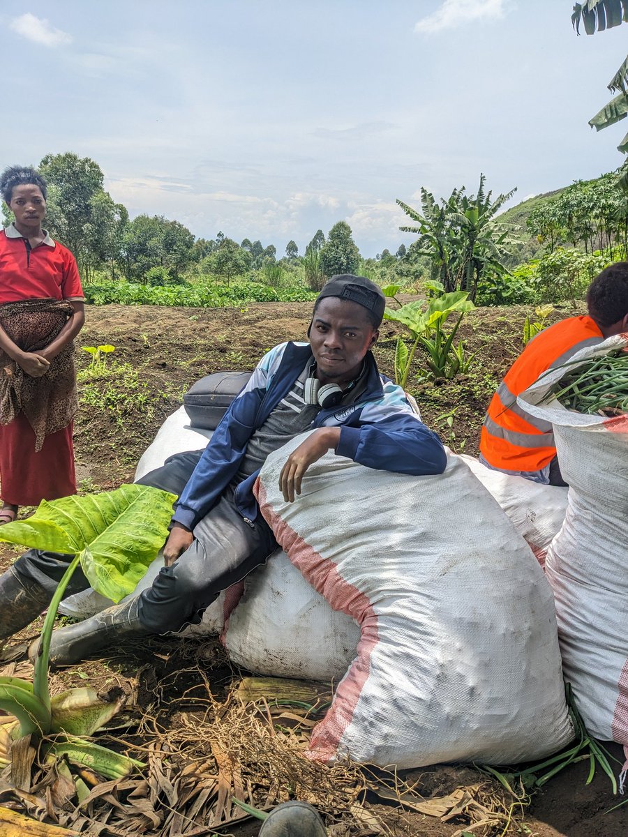 Ma 2e expérience de l'oignon rouge 🧅 réussi à 80%  prouve que dans ce pays 🇨🇩 c'est un manque de volonté si non personne ne meurt de faim car l'on se met au travail. 

<a href="/tisyamukuna/">Tisya Mukuna - La Kinoise</a> <a href="/KatangaCynthia/">Cynthia Katanga,MBA</a> <a href="/malekani_s/">Bam's Malekani #Ze-PDG🚜👨‍🌾</a> <a href="/JKanyoni/">John Nsana Kanyoni</a> <a href="/Neves7bobe/">Neves 🇨🇩🖤</a> <a href="/MiandaMH/">Mi</a> <a href="/KibubiEliane/">Éliane KIBUBI</a> <a href="/24Biodrc/">24BIO</a> <a href="/MpondaSabinus/">Mponda Sabinus</a>