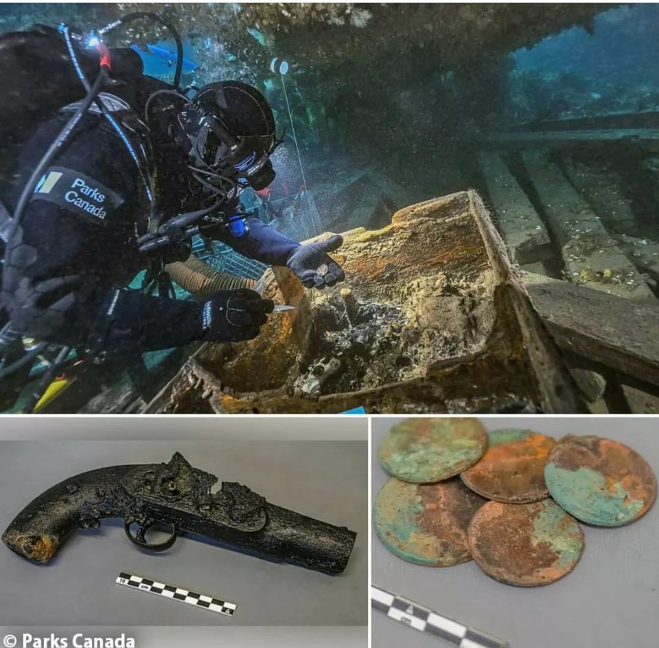 National Archaeologic tweet media