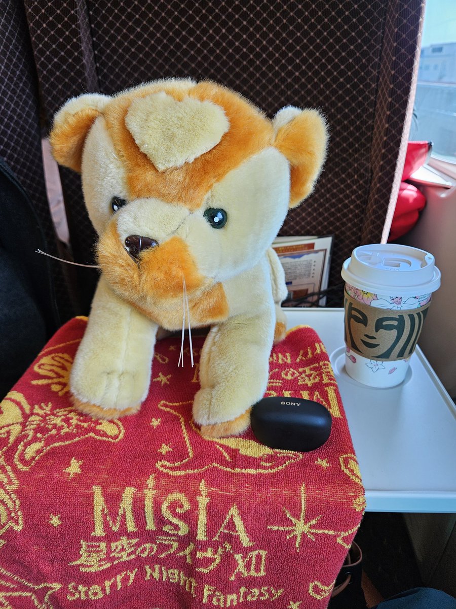 国内最終日🎶なんだか、さびしいような。。。ワクワクのような、。。昨日の余韻を引きながら会場まで、あと少し。。