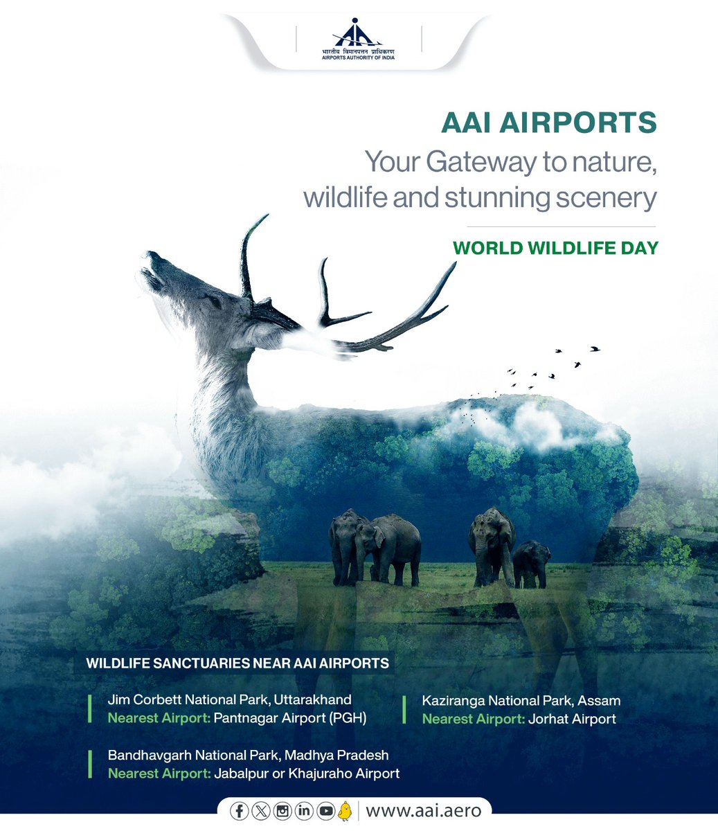 AAI airports serve as gateways for wildlife tourism, offering opportunities to observe and interact with local flora and fauna in their natural habitats. Here are few AAI airports from where you can embark on a journey to some of the greatest wildlife spectacles of the country.