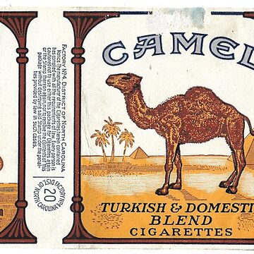 mr camel cigarettes I like this bit about subliminal messages in advertising. I shared a  painting studio with a guy who spent months pulling hidden images out of  the camel on the Camel cigarettes pack