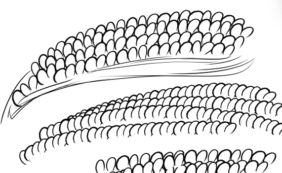 つぶつブラシ触手を楽に描こうとブラシ作ろうとしたらなんかトウモロコシみたいになった 