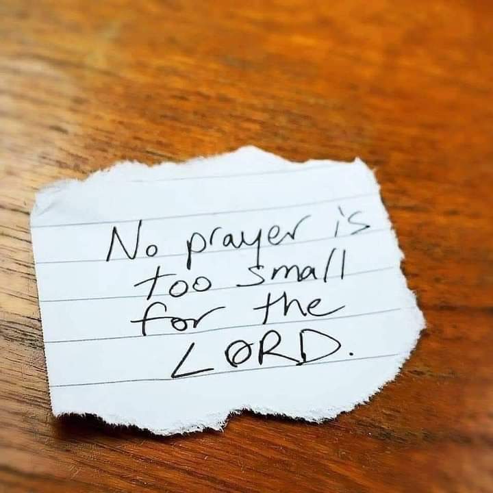 BlessedChikwin1's tweet photo. Medicine for a beautiful day,"Prayer"...📌 🤲🏾🙏🏾... https://t.co/bGKBJN8pzd