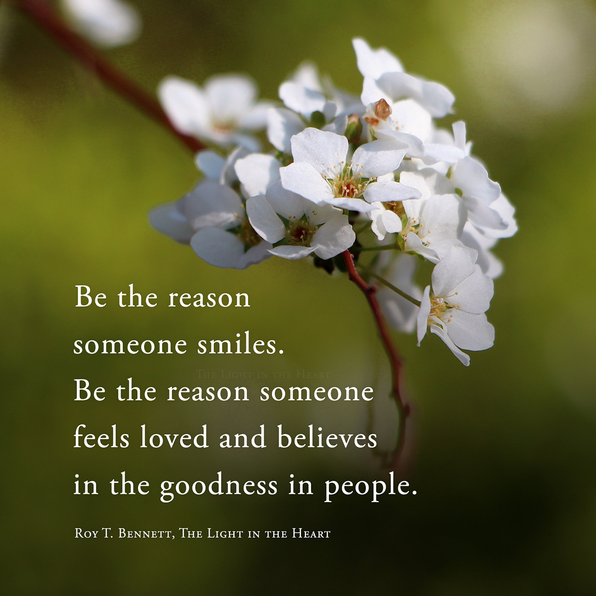 Be the reason someone smiles. Be the reason someone feels loved and believes in the goodness in people. Roy T. Bennett, The Light in the Heart #motivation #Inspiration #quote #quotes #RoyTBennett