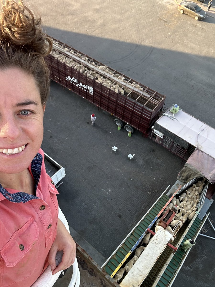 Mandy Matthews tweet media